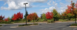 PFE can install and maintain your parking lot lighting system